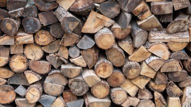 Yeni kesilmiş odun yığını, düzgünce istiflenmiş ve yakacak odun olarak kullanılmak üzere hazırlanmış.