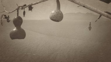 Ağaç dallarında asılı dekoratif balkabağı lambaları 