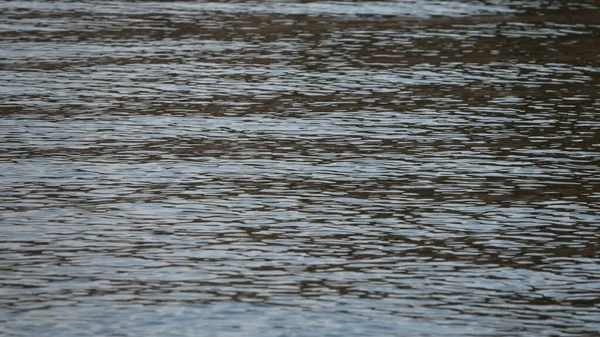Rippling water surface of a river as background