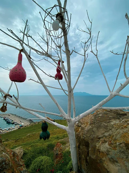 Gourd lamps hanging on tree branches against to Gokceada sea. Decorative gourds pumpkin. Calabash lamp exterior decoration is made of dry pumpkins