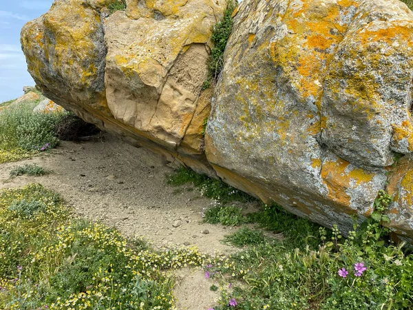 Metamorfosis Roca Que Encuentra Las Empinadas Colinas Junto Mar —  Fotos de Stock