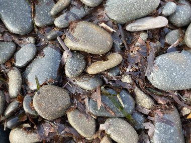 Sahildeki çakıl taşlarının yakın görüntüsü. Soyut doğa çakıl taşı arka planı. Kumsalda küçük deniz taşları, denizde tatil. Üst Manzara. Zen dengesi, minimalizm, uyum ve barış