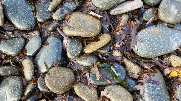 海岸の小石を間近に見ることができます 抽象的な自然小石の背景 ビーチでの小さな海の石 海での休暇 最上階だ 禅のバランス ミニマリズム 調和と平和 — ストック写真