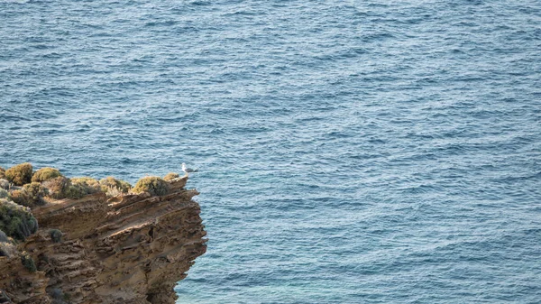 青い海岸線を背景に断崖絶壁の上に立っている五箇山 イムブロス島 カナッカレ トルコ — ストック写真