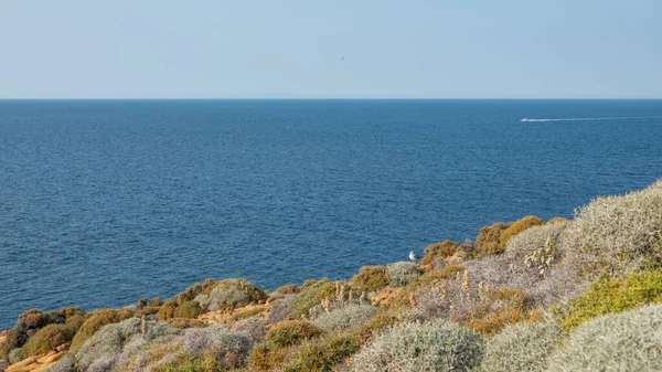 Barca Galleggiante Sul Mar Egeo Gokceada Imbros Isola Canakkale Turchia — Foto Stock