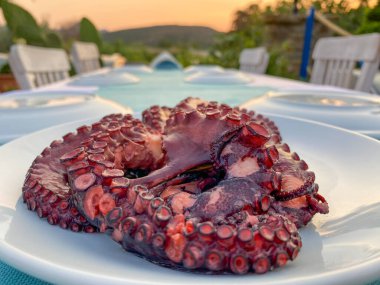 Tabakta kaynamış Ahtapot 'un yakın plan görüntüsü, günbatımı bahçe manzaralı restoran masası. Gökçeada, Imbros Adası, Canakkale, Türkiye