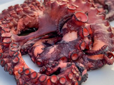 Tabakta kaynamış Ahtapot 'un yakın çekim görüntüsü, üst manzara. Gökçeada, Imbros Adası, Canakkale, Türkiye