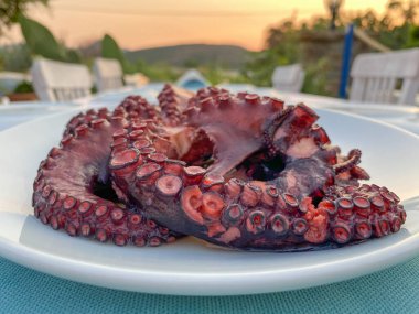 Tabakta kaynamış Ahtapot 'un yakın plan görüntüsü, günbatımı bahçe manzaralı restoran masası. Gökçeada, Imbros Adası, Canakkale, Türkiye