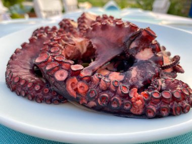 Tabakta kaynamış Ahtapot 'un yakın plan görüntüsü, Gökçeada, Imbros Adası, Çanakkale, Türkiye