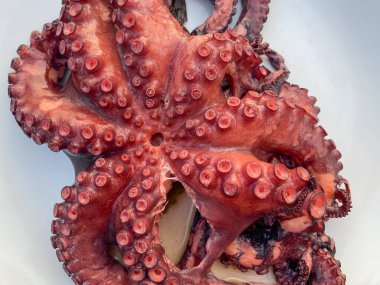 Tabakta kaynamış Ahtapot 'un yakın çekim görüntüsü, üst manzara. Gökçeada, Imbros Adası, Canakkale, Türkiye