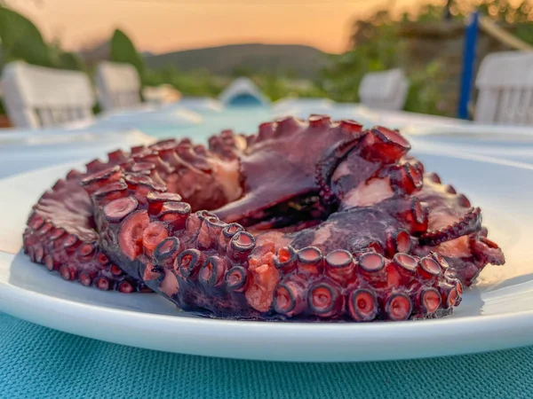 Tabakta kaynamış Ahtapot 'un yakın plan görüntüsü, günbatımı bahçe manzaralı restoran masası. Gökçeada, Imbros Adası, Canakkale, Türkiye