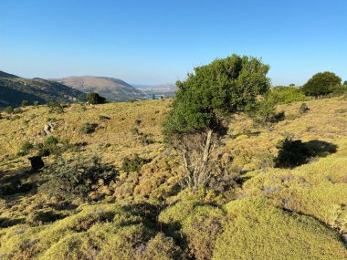 Türkiye 'nin Çanakkale ilinin Gökçeada ilçesindeki Tepekoy köyü ve baraj alanından yaz manzarası