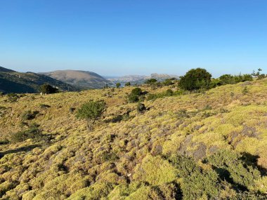 Türkiye 'nin Çanakkale ilinin Gökçeada ilçesindeki Tepekoy köyü ve baraj alanından yaz manzarası