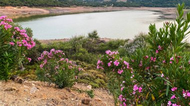 Gökçeada 'da Aydincik küçük göleti ve yeşil tepeler. Gökceada 'daki göller. Çanakkale, Türkiye.