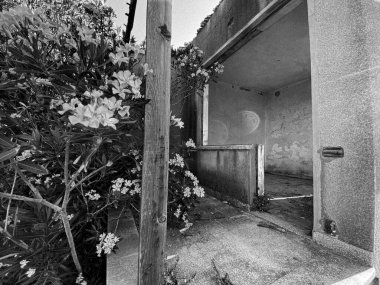 Terk edilmiş bir yazlığın iç mekan detayları