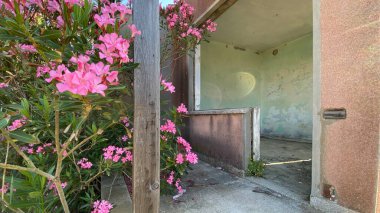 Terk edilmiş bir yazlığın iç mekan detayları