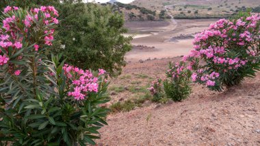 Gökçeada 'da Aydincik küçük göleti ve yeşil tepeler. Gökceada 'daki göller. Çanakkale, Türkiye.