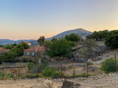 Tepekoy (Agridia), Kuzey Ege köyünün Gökceada (Imbros) adasında bulunan ünlü bir tarihi köydür.