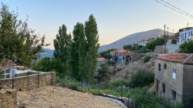 Tepekoy (Agridia), Kuzey Ege köyünün Gökçeada (Imbros) adasında bulunan ünlü bir tarihi Yunan köyüdür.