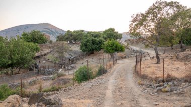 Tepekoy (Agridia), Kuzey Ege köyünün Gökçeada (Imbros) adasında bulunan ünlü bir tarihi Yunan köyüdür.