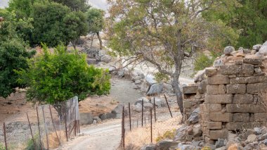 Tepekoy (Agridia), Gökceada 'nın (Imbros) ünlü bir tarihi Yunan köyüdür. Çanakkale 'deki Kuzey Ege köyü 