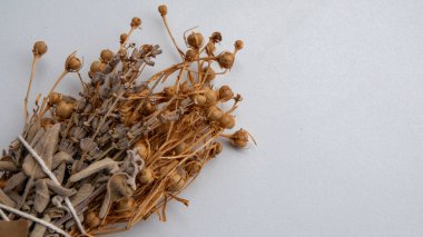 Bitkisel tütsü resmi, lavanta ve adaçayı gibi otlardan yapılmış, beyaz arka planda.