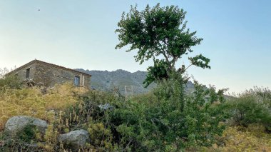Gkeada 'nın en turistik yerlerinden biri olan Tepeky (Agridia) adlı Yunan köyündeki harabe ev - Türk Ege Adası Gökçeadası. Çanakkale, Türkiye
