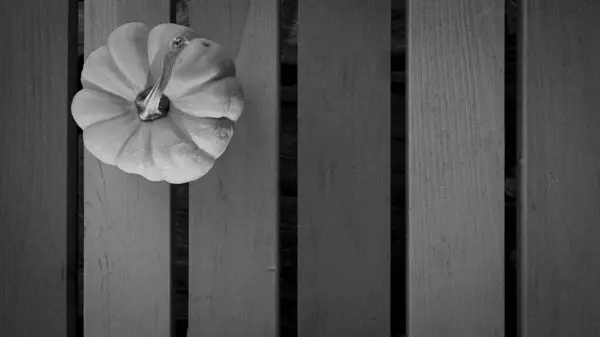 Masadaki siyah beyaz süs kabağı.