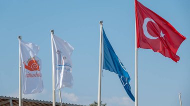 Sigacik, İzmir, Türkiye, 15 Eylül 2023 Seferihisar Akarca halk plajında rüzgarda dalgalanan bayraklar; Türk bayrağı, cittaslow bayrağı, temiz deniz bayrağı ve Seferihisar belediye bayrağı.