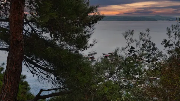 Pine trees and small fishing boats at sunset  on the shore of Kilitbahir town in Canakkale