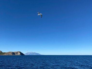 Türkiye 'de Gökyüzünde martılarla Gokeada denizindeki gemi güvertesinden Yunan adasının panoramik manzarası. Bu çerçevede, iki ada yan yana görünür..