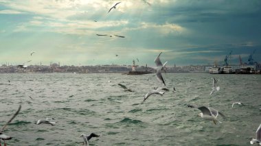 Türkiye 'nin Kadıköy feribot terminalindeki Haydarpaşa tren istasyonunun önünde martılar uçuyor. Dramatik bir gökyüzü. Klasik tonlama.