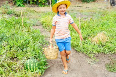 Sepet dolusu sebzeyle tarlada gülümseyen çocuk.