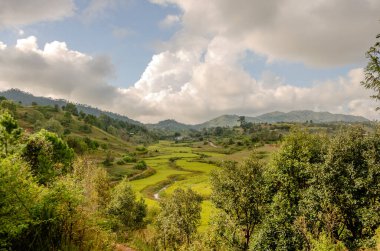 Myanmar 'daki Inle Gölü yakınlarında sakin bir manzara, yemyeşil tarlaları ve parçalı bulutlu bir gökyüzünün altında yuvarlanan tepeleri gösteriyor. Görüntü, huzur ve doğal uyumu çağrıştırmak için ideal kırsal kesimin dingin güzelliğini yakalıyor. Trave için mükemmel.