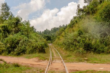 Sakin bir tren yolu yoğun, yeşil bir ormanın içinde parçalı bulutlu bir gökyüzünün altında dolanıyor. Bereketli bitki örtüsü ve dingin atmosfer, doğa ve seyahat temaları için mükemmel bir sakinlik ve macera hissi uyandırıyor..