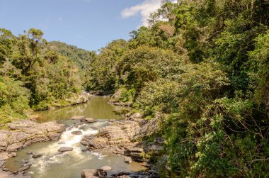 Madagaskar 'daki yemyeşil bir ormanda çağlayan şelalenin büyüleyici bir görüntüsü. Güneş ışığı yoğun gölgeliğin içinden süzülerek suyun ve çevreleyen yaprakların üzerine sıcak bir parıltı yayar. Bu sakin sahne huzur ve doğallığı çağrıştırıyor. 
