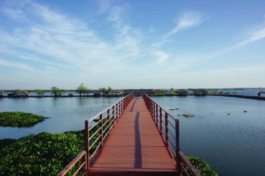 Parktaki nehrin güzel manzarası