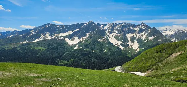 Güzel bir dağ manzarası