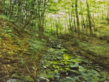 Deresi olan bir ormanın dijital illüstrasyonu