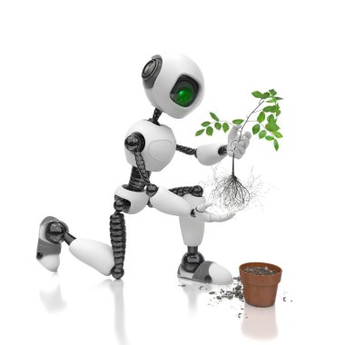 Robot İnsansı beyaz arka planda bir saksıya tohum eker. Akıllı robotik ve yapay zekanın gelecekteki konsepti. 3B konsept oluşturucu.