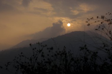 Güneşin puslu tepelerden bulutları gözetlediği sakin bir gün doğumu manzarası. Vahşi bitkilerin ön plandaki siluetleri bu huzurlu, sabahın erken saatlerinde dağ manzarasına derinlik katıyor..
