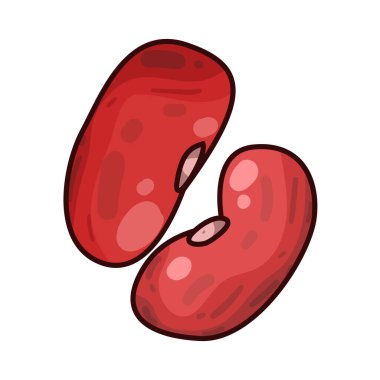 Kırmızı fasulyeler küçük, oval şekilli, koyu kırmızı renkli ve düz desenli baklagillerdir. Genellikle kırmızı biber, çorba, güveç ve pirinç tariflerinde kullanılır. Protein, lif ve temel besinler bakımından zengindirler..