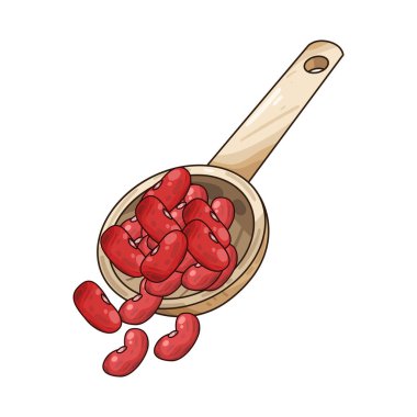 Bir avuç fasulye, doğal şekillerini, renklerini ve dokularını gösteren tahta bir kaşığın üzerinde dinleniyor. Kaşığın pürüzsüz tanecikleri kırsal, organik bir dokunuş ekliyor. Bu da onu yemek sunumları ve tarif çizimleri için mükemmel yapıyor..