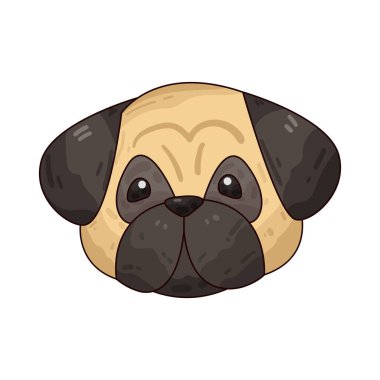 Pug köpeği, imzası buruşuk yüzü, yuvarlak gözleri, kıvrık kuyruğu, büyüleyici cazibesi ve kişiliği ile oturur. Kısa, güçlü vücudu ve anlamlı görünüşü ona neşeli ve sevecen bir görünüm verir.. 