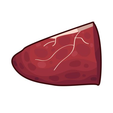 Taze kesilmiş, koyu kırmızı renkli ve beyaz yağ damarlarıyla kaplı çiğ et. Yüzey hafifçe parlıyor, tazeliğini ve kalitesini gösteriyor.. 