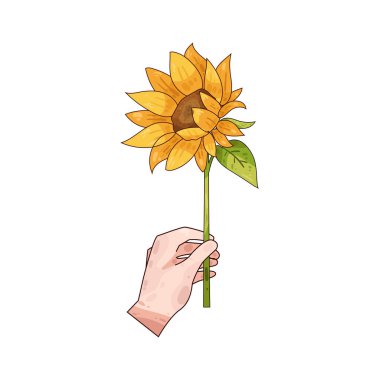 Nazikçe bir ayçiçeğini tutan bir el, ilgiyi, takdiri ve doğanın güzelliğini simgeliyor..