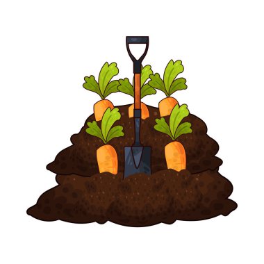 Taze bir turuncu havucu ortaya çıkarmak için kazılan kürek, bahçıvanlığı ve sebze hasadını temsil ediyor..