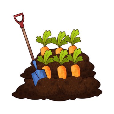 Taze bir turuncu havucu ortaya çıkarmak için kazılan kürek, bahçıvanlığı ve sebze hasadını temsil ediyor..