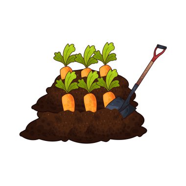 Taze bir turuncu havucu ortaya çıkarmak için kazılan kürek, bahçıvanlığı ve sebze hasadını temsil ediyor..