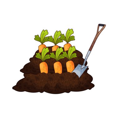 Taze bir turuncu havucu ortaya çıkarmak için kazılan kürek, bahçıvanlığı ve sebze hasadını temsil ediyor..